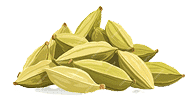 Cardamom